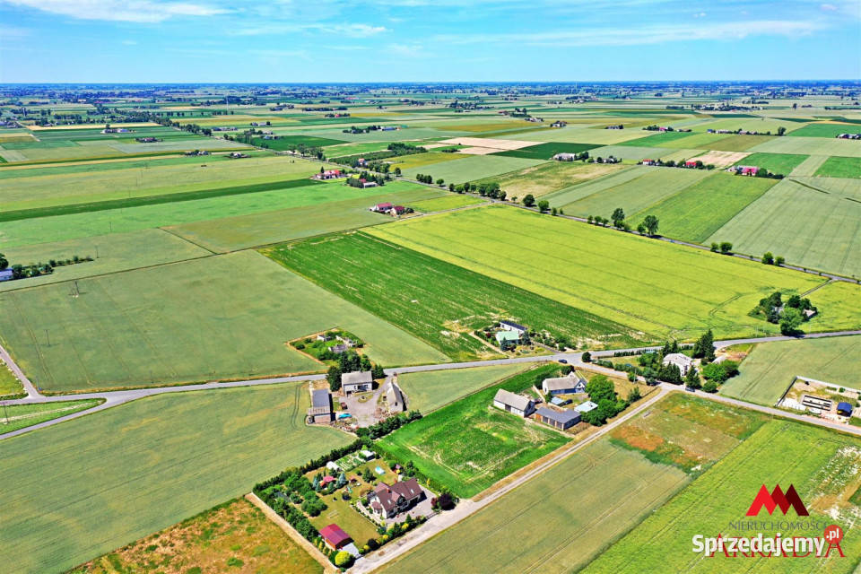 Działka Brzezie 6121m2 6121m2 Sprzedaż