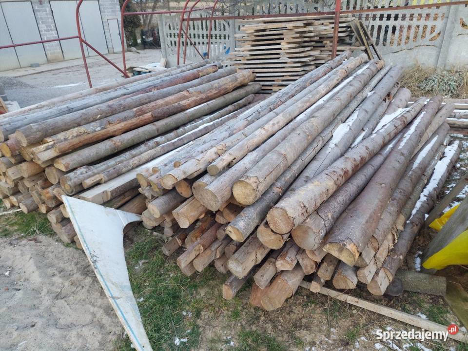 Stemple budowlane Proszowice sprzedam