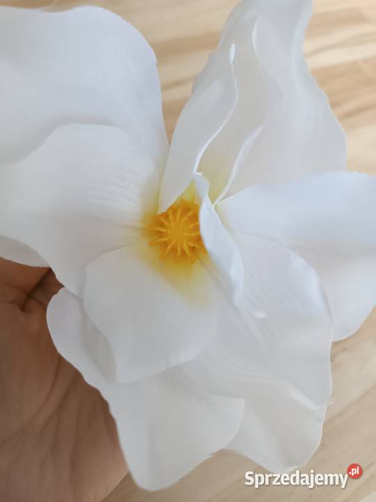 MAGNOLIA MINI VIP 61021 główki wyrobowe białe biały Siewierz