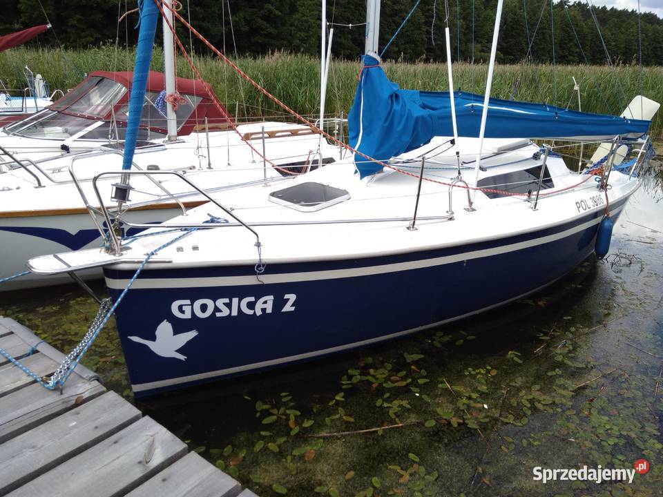 Focus 650 sy Gosica POL3986 zarejestrowana w Górki-Szewkowo