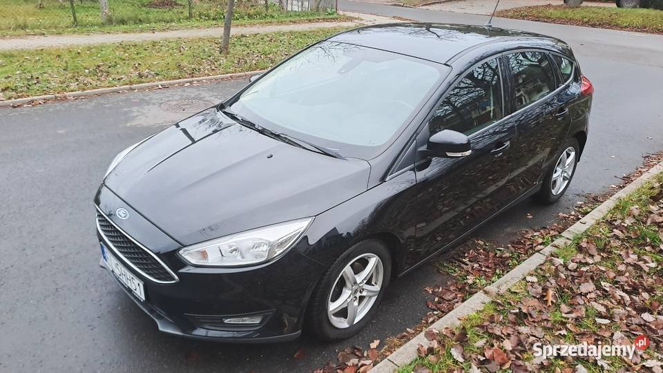 Focus 2017 15 D 150 oryginalny lakier Salon Łódź