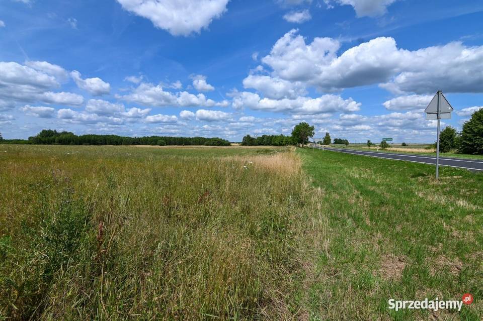 Sprzedam działkę 4800 m2 z Warunkami Zabudowy