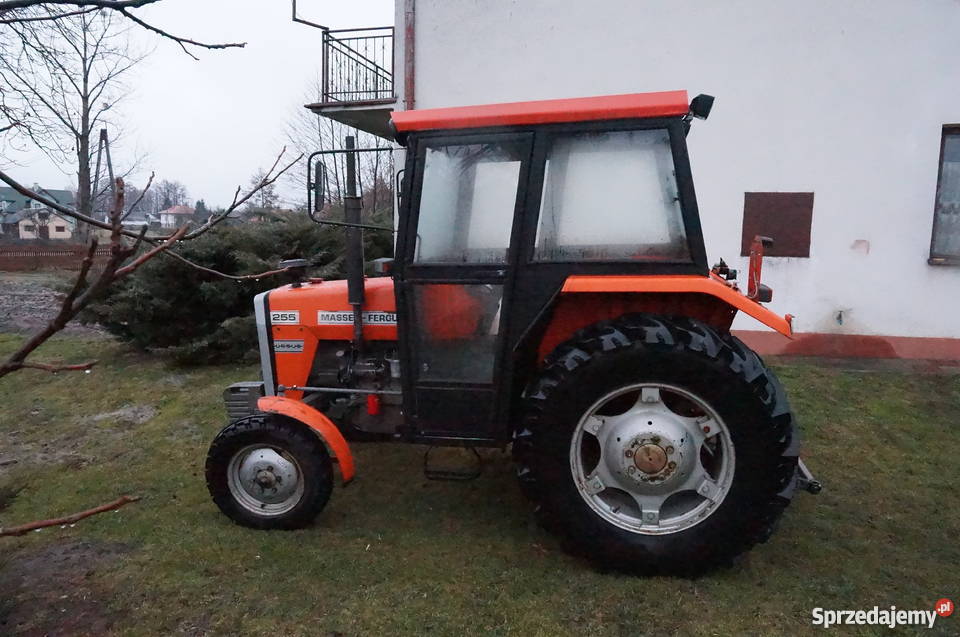 Massey Ferguson 255 nieuszkodzony podkarpackie Kolbuszowa