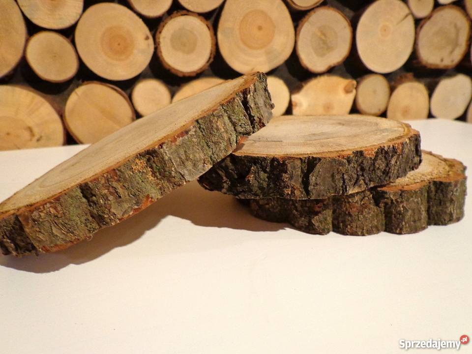 Plaster drewna dąb szlifowany 2025 Plastry Duży Rybnik