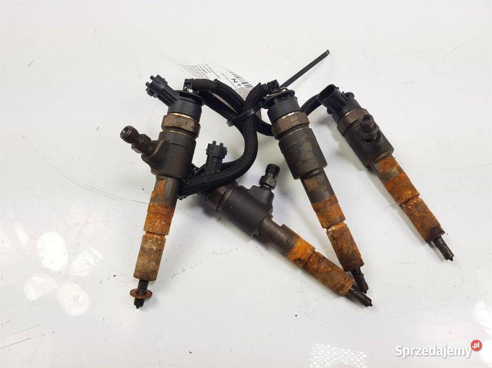 WTRYSKIWACZE KOMPLET CITROEN C3 0445110252 Lipno