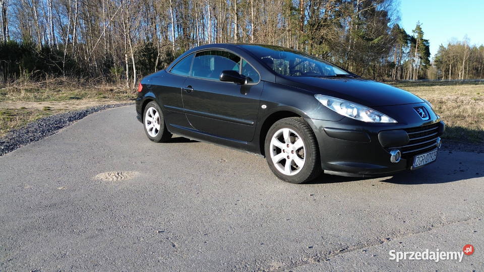 Peugeot 307 II 20 CC 20 benzyna LPG 2007 polift benzyna+LPG Szczecinek