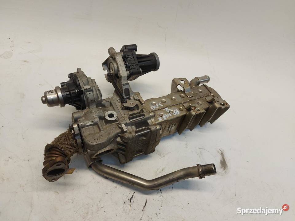 Ford Ranger VI 6 2024r CHŁODNICA CHŁODNICZKA dolnośląskie