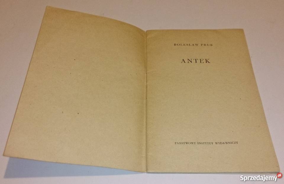 Bolesław Prus Antek Książka Rogoźnik