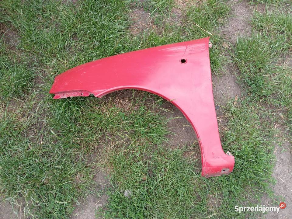 Seicento błotniki łódzkie Teolin