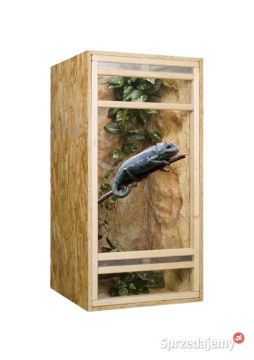 Terrarium z płyty OSB pionowe 60x60x120 wielkopolskie Pięczkowo