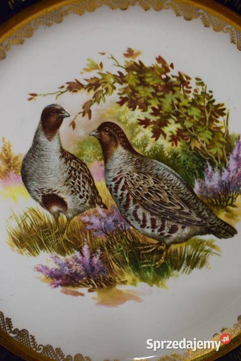 Brytyjski talerz ozdobny z serii ptactwa łownego Porcelana i szkło kujawsko-pomorskie Chełmno