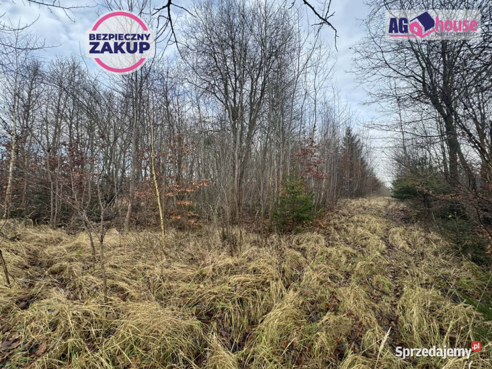 Działka 1441m2 Gdańsk Grzybowa inwestycyjna