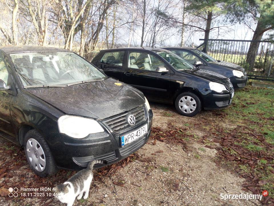 VW Polo 12 2006r silnik kapitalnym 3 manualna warmińsko-mazurskie Barciany