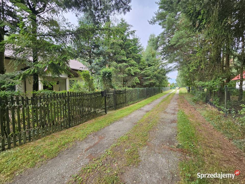 Działka budowlana 6000 m2 JEZIOROLAS Drogoszowice