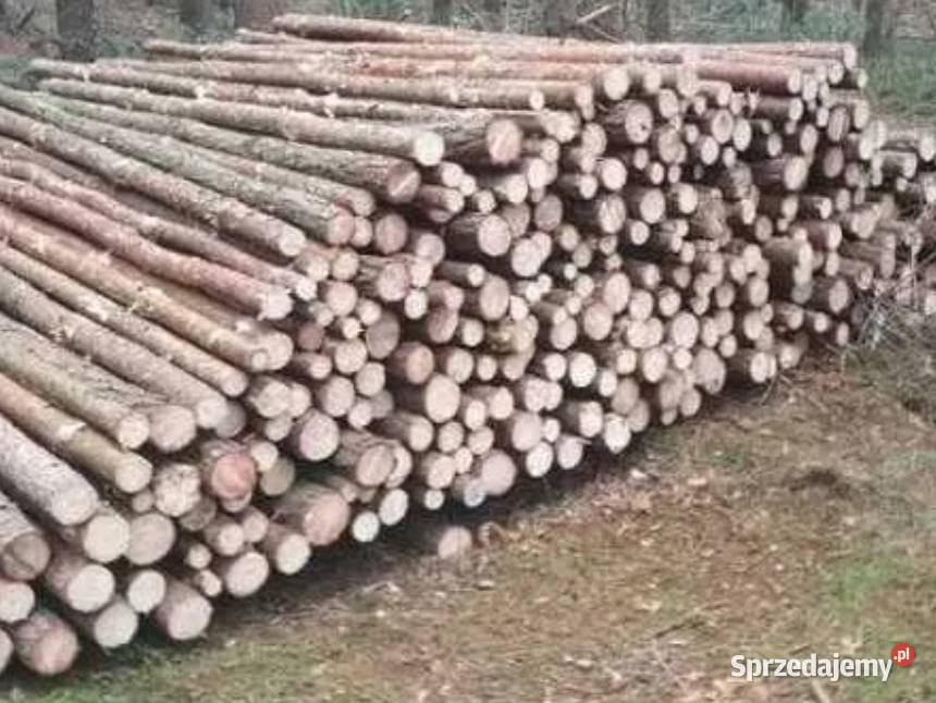 Stemple Paliki Słupki Okrąglaki KULOKI NOWE 26m