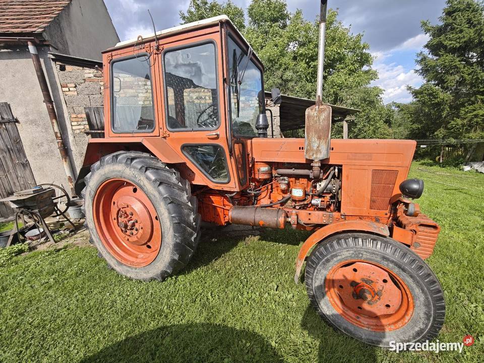 MTZ Belarus 82 stan Napęd 2x4 dolnośląskie Lubań sprzedam