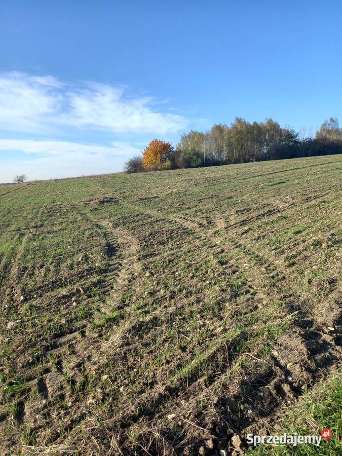 Działka rolna 27400m2 świętokrzyskie Chomentów