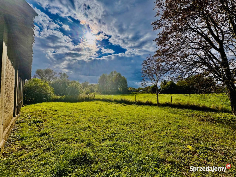 Działka 5400 m w Drygałach z domem i gospodarstwo Sprzedaż Drygały