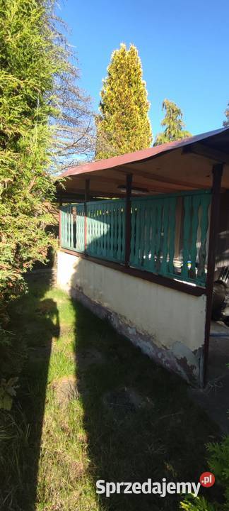 Działka ROD Konwalia Pyskowice Sprzedaż