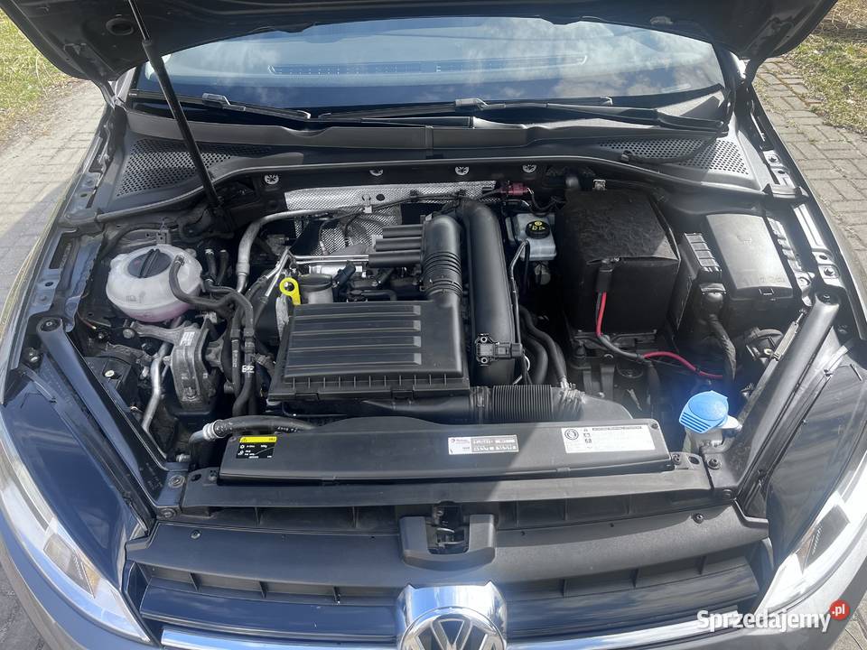 Volkswagen Golf VII 110KM Motoryzacja