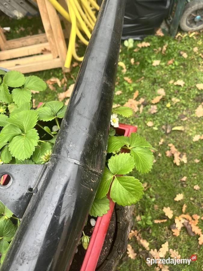 Tłumik MZ saxon 125150 org podkarpackie Wola Raniżowska