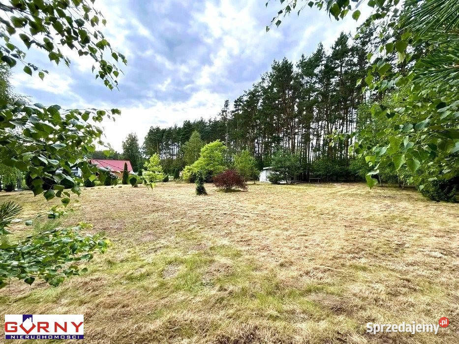 Grunt na sprzedaż Lubiaszów 1600m2