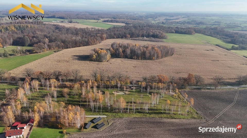 Dawidy duża działka 05306 ha WZ