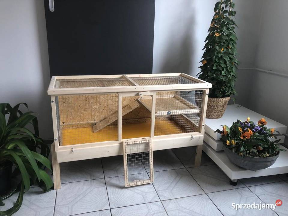Klatka drewniana zagroda królika świnki morskiej Myszków