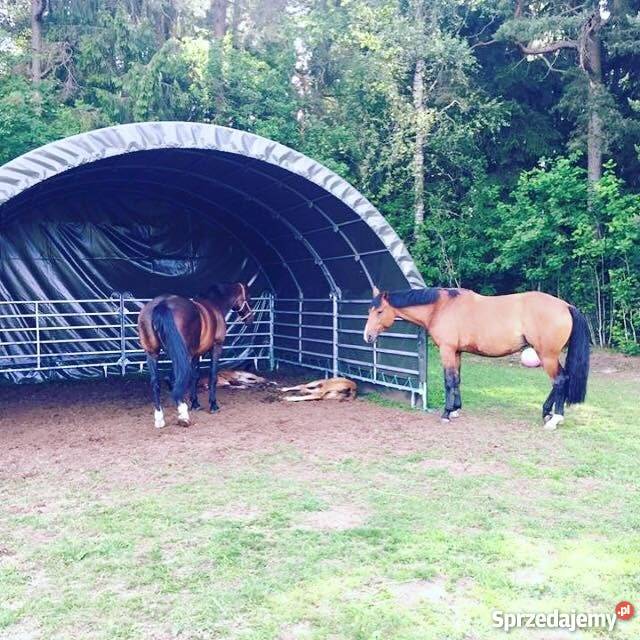 Osłona przeciwwiatrowa 6x6 w komplecie z Mława