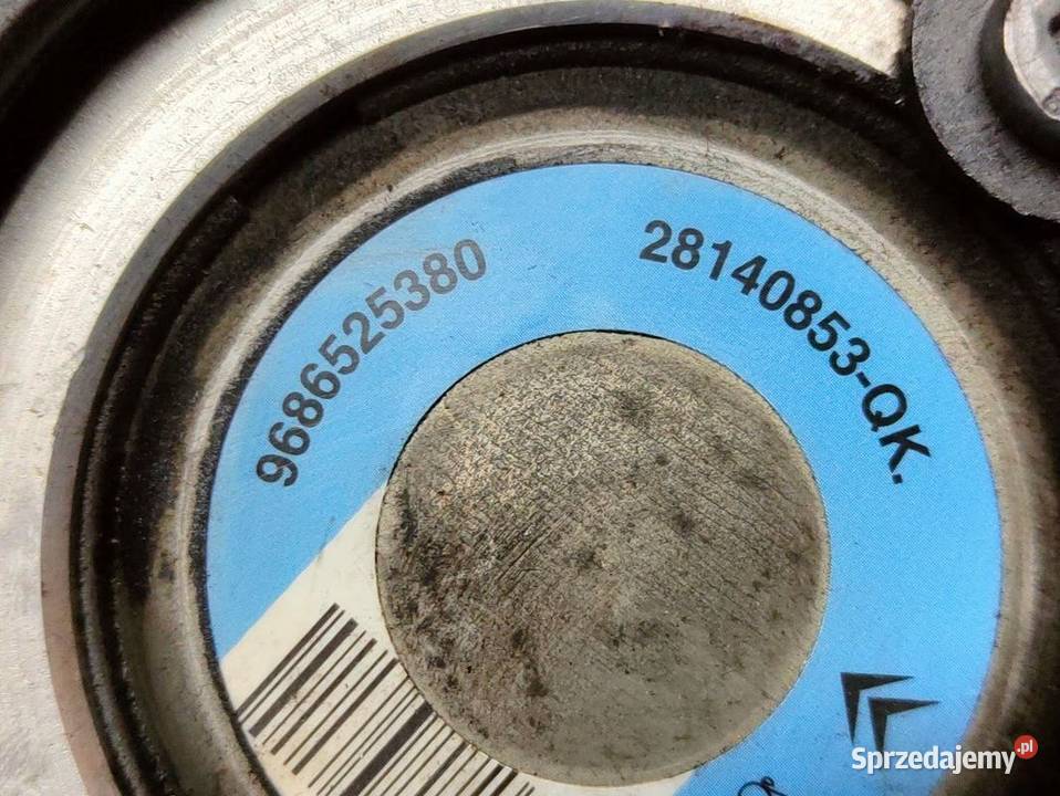 Pompa Wspomagania Peugeot Citroen 9686525380 Pleszew