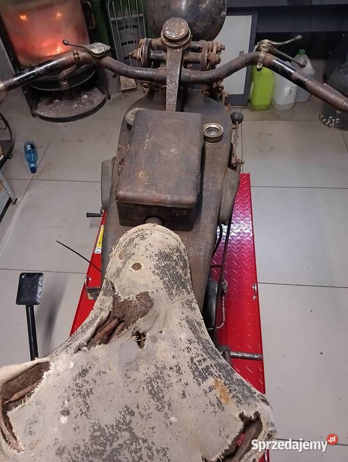 Sprzedam terrot h pozostałe Gostycyn