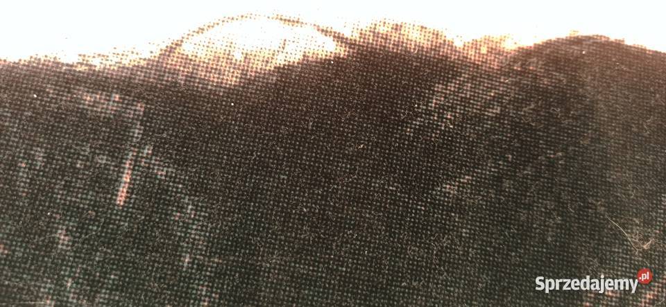 Plakat Jim Morrison Jawor sprzedam
