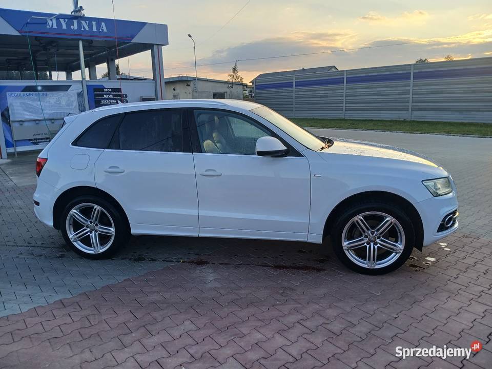 Audi Q5 świętokrzyskie Jędrzejów