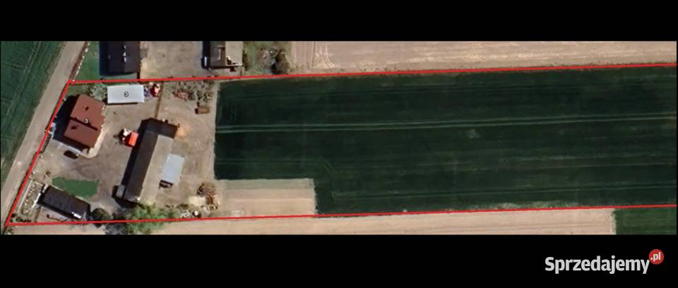 Gospodarstwo 320 ha dom 250 m fotowoltaika DK91 3200m2 Krośniewice
