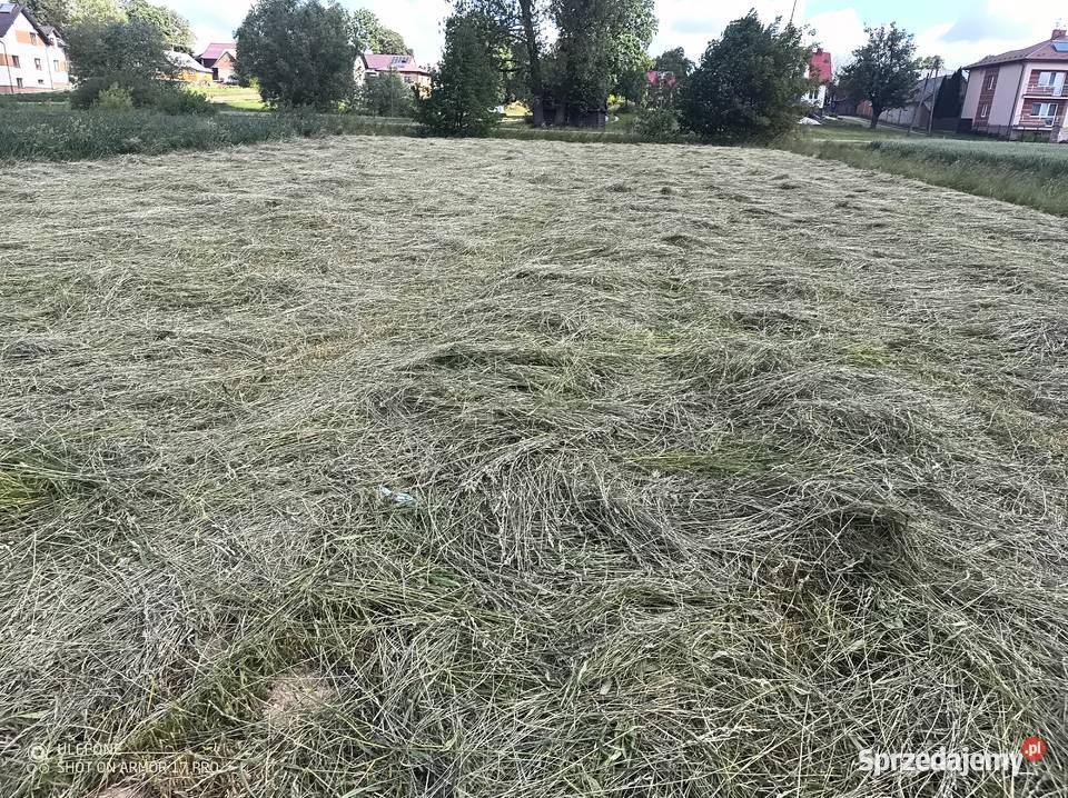 Przetrzasacz pokosów zgrabiarka DeutzFahr Zgrabiarki i przetrząsacze Goraj