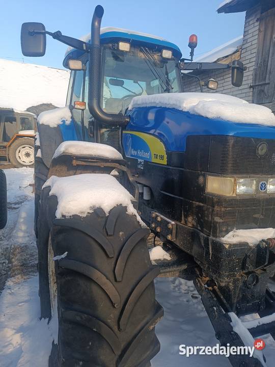 Holland TM 175 Konorzatka