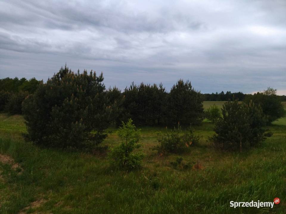 Działka budowlana Świerczyna