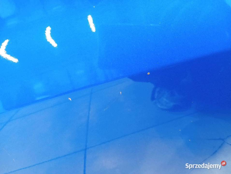DRZWI PRAWE PRZÓD ESM Peugeot 208 II 2019 Części samochodowe
