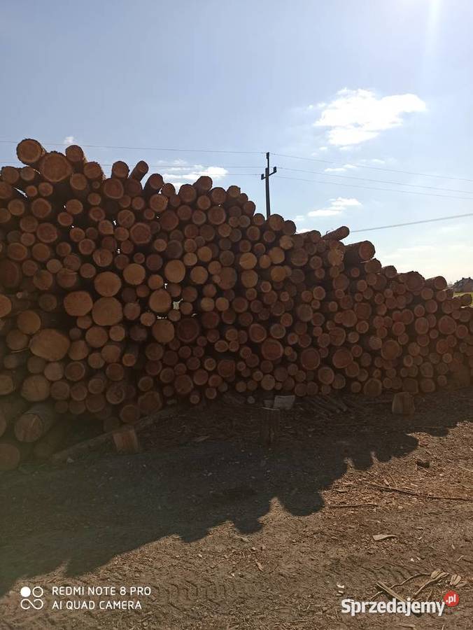 Wałki sosnowe modrzewiowe i świerkowe mazowieckie Iłża sprzedam