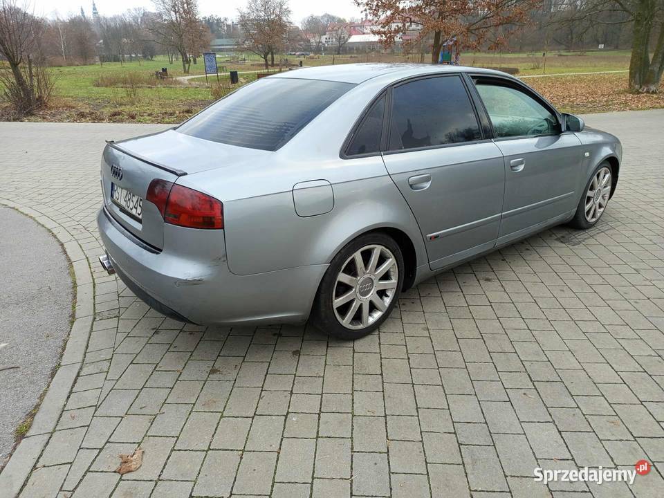 Audi A4 B7 20 TDI 175 Długie opłaty 302124km Tarnobrzeg