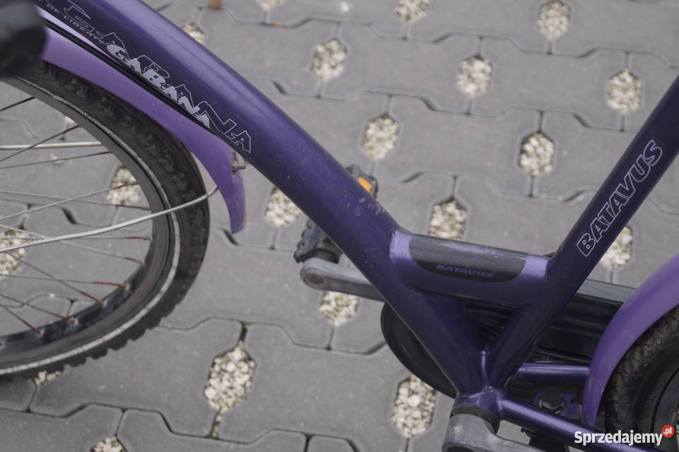 Batavus Gabana Gniezno