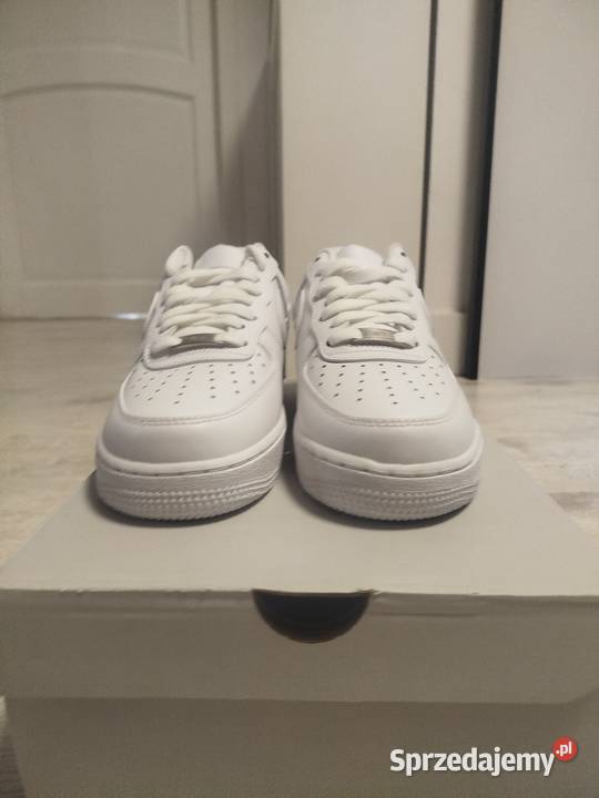 Air force 107 Niedźwiednik