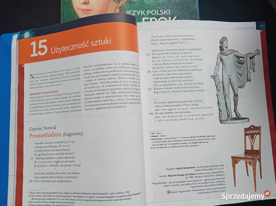 Język polski Oblicza epok 21 i 22 całość Wydanie