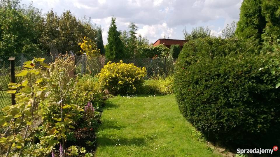 ogród działkowy ROD Szczecin Wyspa Pucka