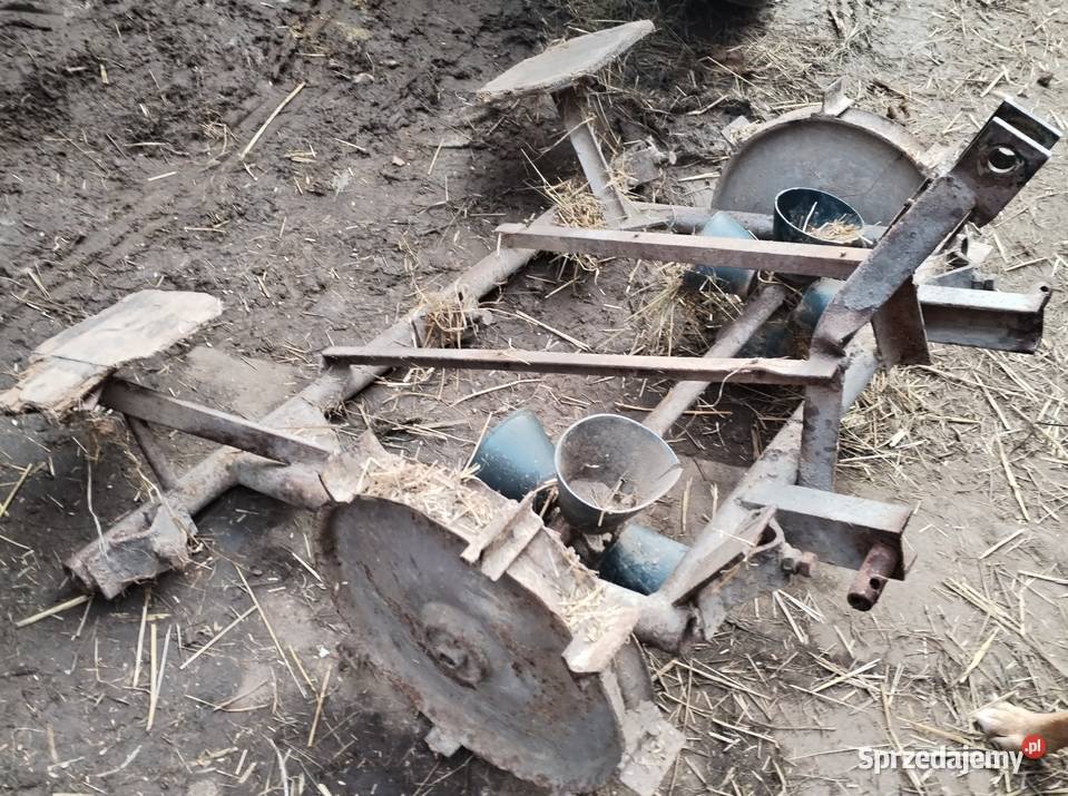 Sprzedam sadzarke Łańcut