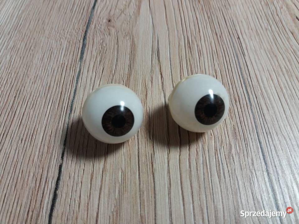 Tajemnice ludzkiego ciała kolekcja DeAgostini II śląskie Cieszyn