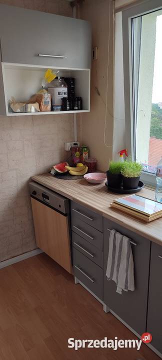 Gdansk Oliwa 304 m2 kawalerka Sprzedaż Sprzedaż Gdańsk