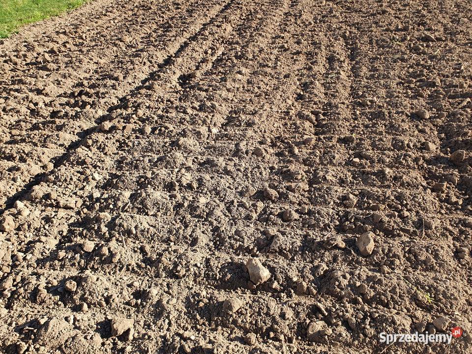 Brona talerzowa talerzowka agregat Strumyk Alfa Skierbieszów