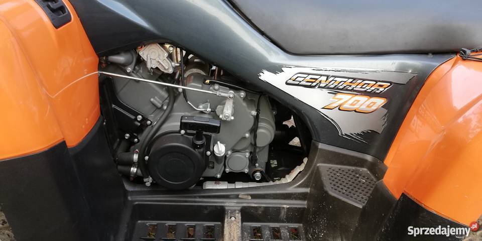 Dinli 700 wierna kopia yamachy gryzzly prawie kufry Morąg