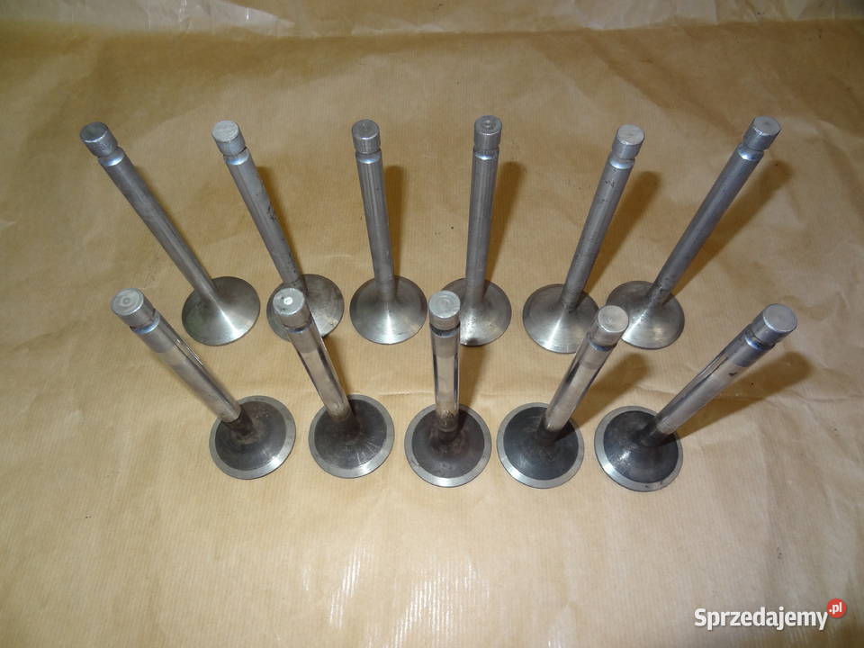 Zawory wydechowe silnik SW680 turbo 6138565W Rzeszów sprzedam